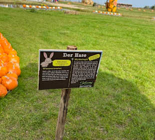 Krewelshof  Kürbisschau 2022 (Wundersame Waldwesen