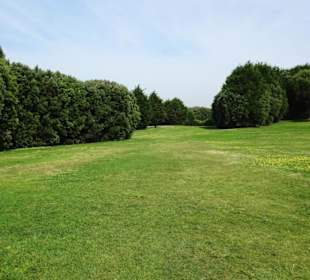 Der Park als Englischer Landschaftsgarten