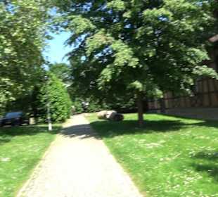 Alte Turnhalle