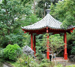 Beautiful Japanese pavilion 