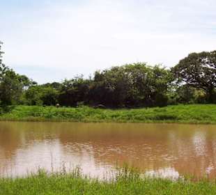 Herrliche Landschaft