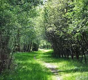 Eindrücke aus dem Stadtwald Oldenburg