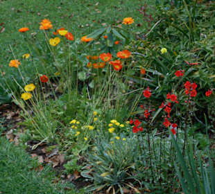 Palheiro Gardens