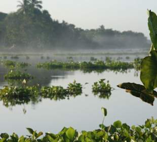 Wenn alles noh schläft ..