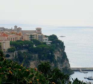 Jardin dÉxotique - Monaco