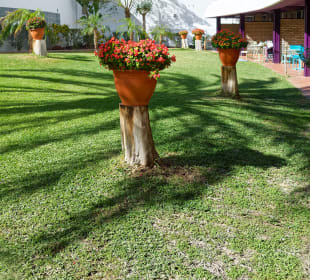 Gartenanlage