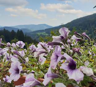 Wandern Hochrindl/Sirnitz