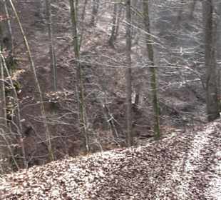 Premiumwanderweg Hohenwittlingensteig