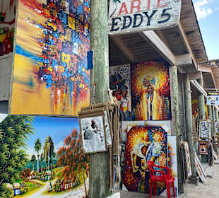 Stadtrundfahrt Bavaro