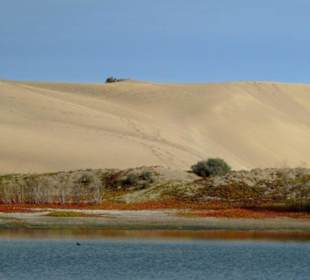 Die Dünen