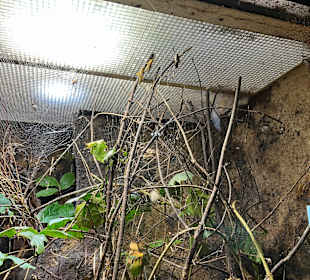 Aquazoo Löbbecke Museum Düsseldorf