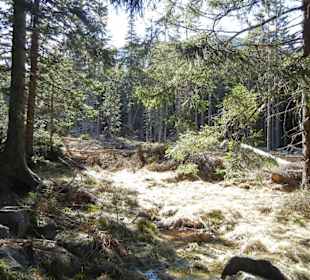 Karkonoski Park Narodowy