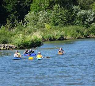 Impressionen von der Rundfahrt auf dem Main