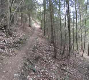 Wanderweg Hochgehswiggert