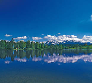 Schwaltenweiher mit Allgäuer Alpen