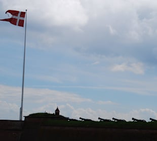 Die Geschützbatterie