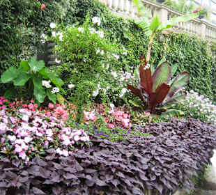 Blumeninsel Mainau