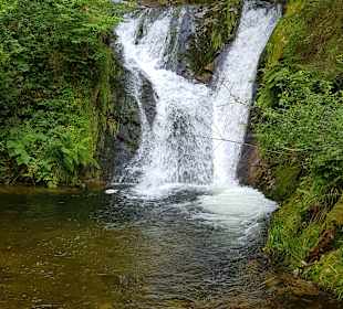 Rundwanderweg Baiersbronn