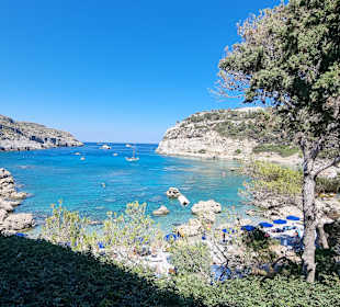 Anthony Quinn Bay