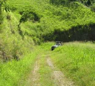 Im Hochland von Tobago