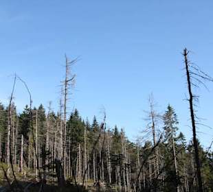 Droga na Baranią Górę