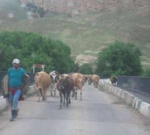Brücke über den Mtkwari kurz vor Uplisziche