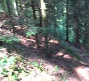 Griesbacher Wasserfälle Bad Griesbach