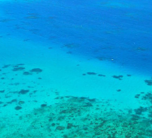 Blick auf das Reef