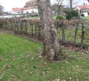 Friedhof Mehrstetten