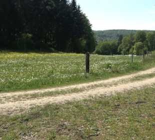 Premiumwanderweg Hochgehschätzt