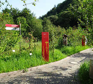 Eindrücke vom Rundgang durch die Gärten