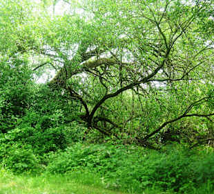 Kranzberg,Erholungsgebiet