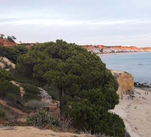 Strand Praia da Falésia