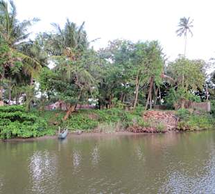 Flussfahrt direkt vor dem Club Hotel Dolphin mit Haralds Boo