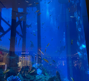Aquarium Dubai Mall 