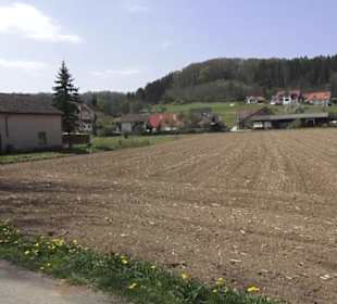 Waldlehrpfad an der Lauter