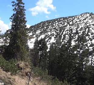 Weg zur Schlegelmulde