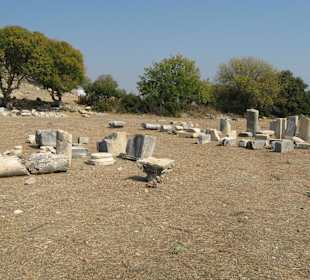 Überall Originalteile