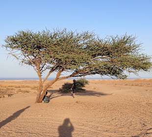 Quad Tour Marsa Alam