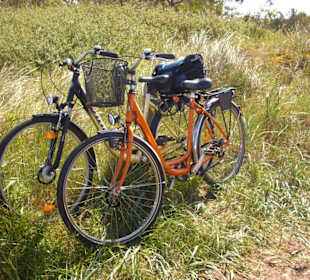Fahrradtour zum Darß