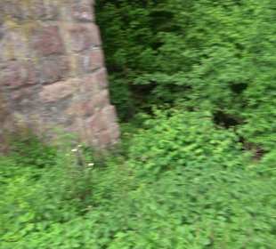 Burgruine Sterneck