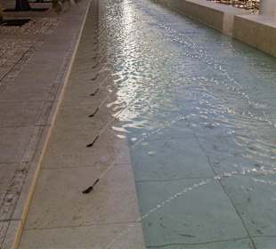 Wasserspiel ... alles in einer Linie