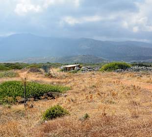 Ein paar Inspirationen von unserer Strandwanderung
