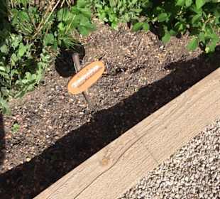 Arzneipflanzengarten Klosterreichenbach