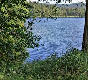 Eindrücke vom Rundgang um den Fichtelsee