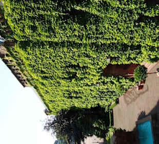 Sektkellerei Kupferberg