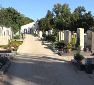 Ostenfriedhof