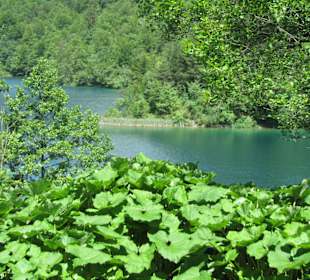 Plitvicka Jezera