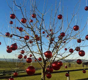Adventmarkt auf Gut Aiderbichl 2016
