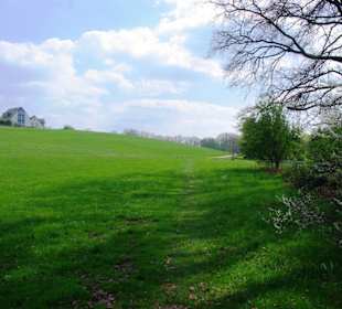 Gegend an der Bitterbachschlucht